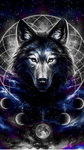 Nicolas77’s fan group