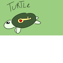 The Turtle room