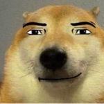 Sanusit