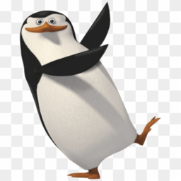 The Madagascar Penguin Cult