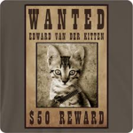 Jenny's Cat Ran away
