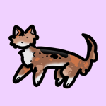 Corgi chat