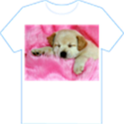 t-shirt Roblox decal