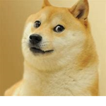 za123lol is a Doge