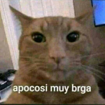 Los insanos W
