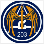 The 203th Special Assault Brigade
