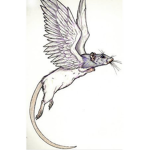 FAT SKY RATS UNITE