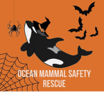 Ocean Mammal Safety Rescue