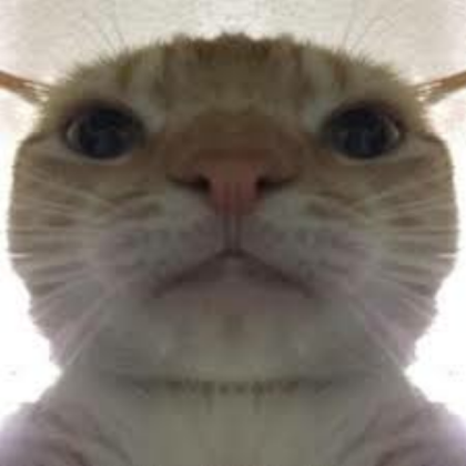 another cool cat Roblox decal