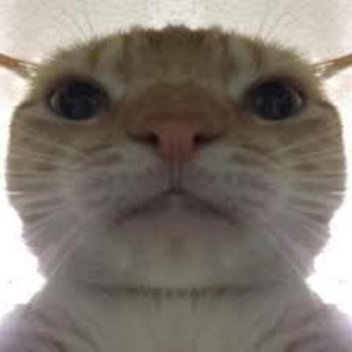 another cool cat Roblox decal