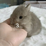 Murd3rzz