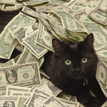 MillionMeowHome
