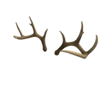 Halloween Antlers