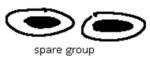Mini's Spare Group 1