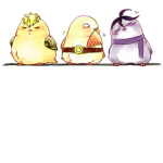 The Birdy squad