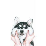 ~AshlynDoggo~ FAN GROUP!