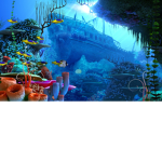 calm seson