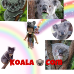 KoalaCom