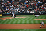 Seattle Mariners Rocks