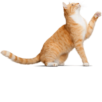 Ultra Tycoon (in Development)