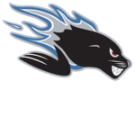 Saint John Sea Dogs