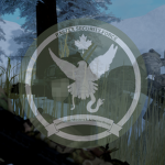 RSF - Special Missions & Activities Group