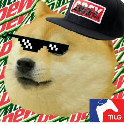 Meme heaven