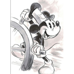The Mickey Mouse club boat