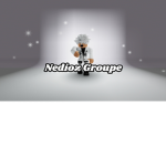 Nedioz Groupe