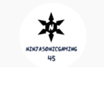 NinjaSonicGaming45