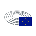 Virtual European Parliament