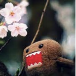 domo aesthetixx