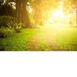 Sunlight Productions
