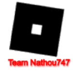 Team nathou747