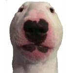 H H H HH H HH H HH