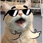 ADCSPMIDTOPBOT