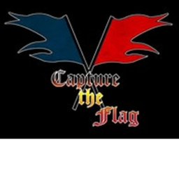 The Infected Capture the Flag