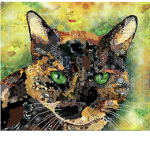 Tortoiseshell Army