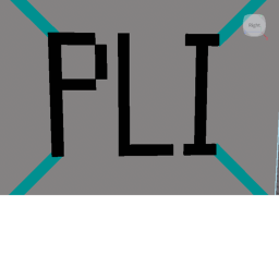 Pro labs inc.
