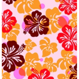 hibiscus hangout (unfinished)