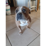 Chloe1492