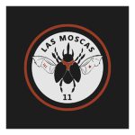 11th Air Squadron