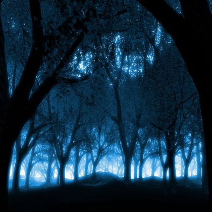 Dark Blue Forest Roblox decal