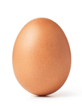 egg family lol