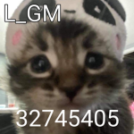 L_GM