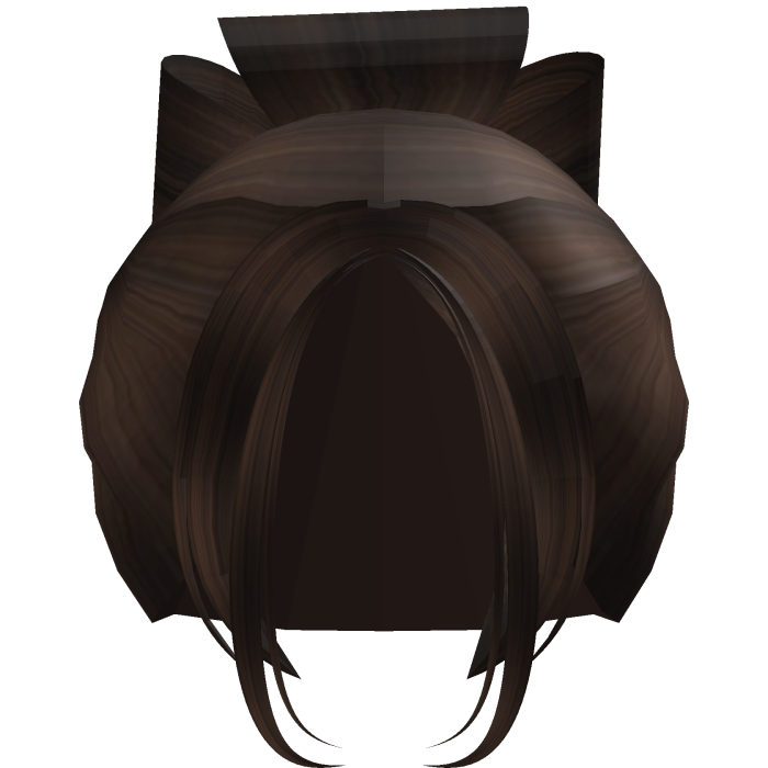 Dark Brown Messy High Bun