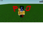 Only Pros Can Enter!