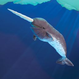 Roblox Narwhal Crew's Hangout
