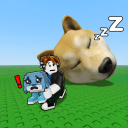 Don't Wake the Doge