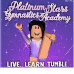Plantation stars gymnastics team